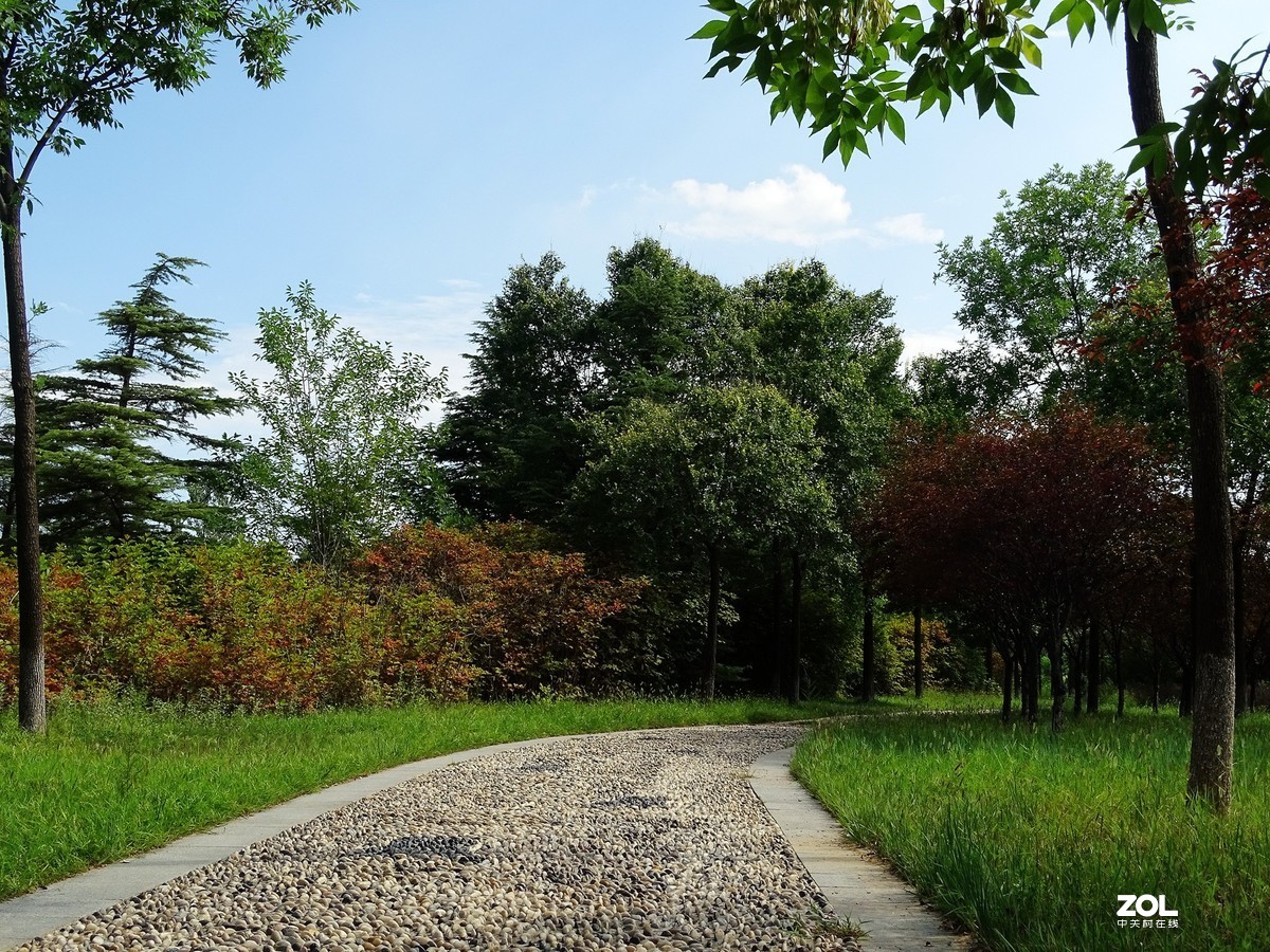 走走拍拍（2019年8月25日-5）