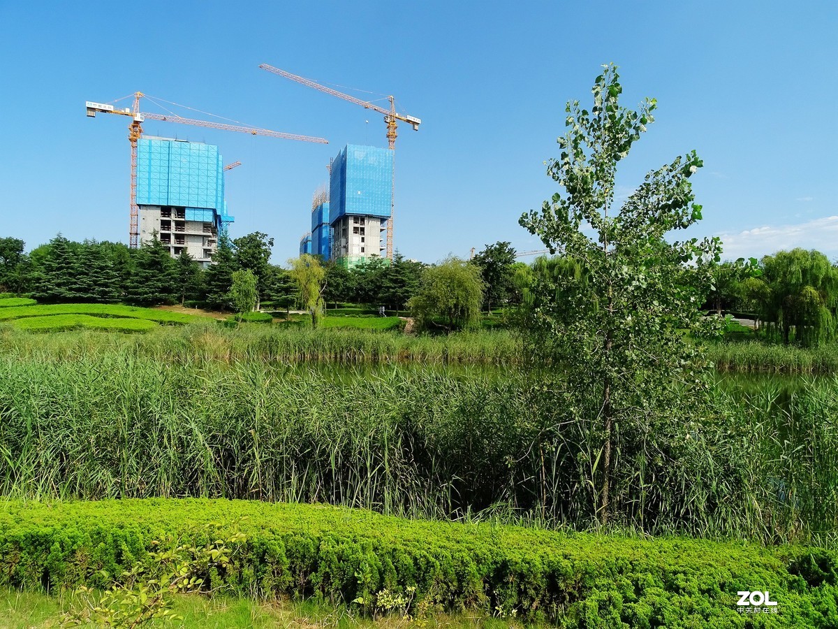 走走拍拍（2019年8月25日-5）