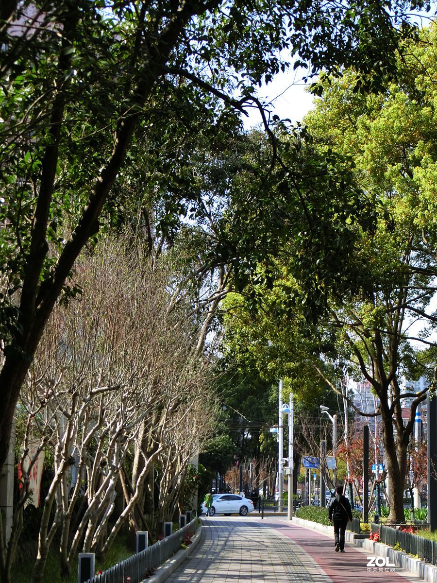 行行摄摄过过瘾 ------ 1