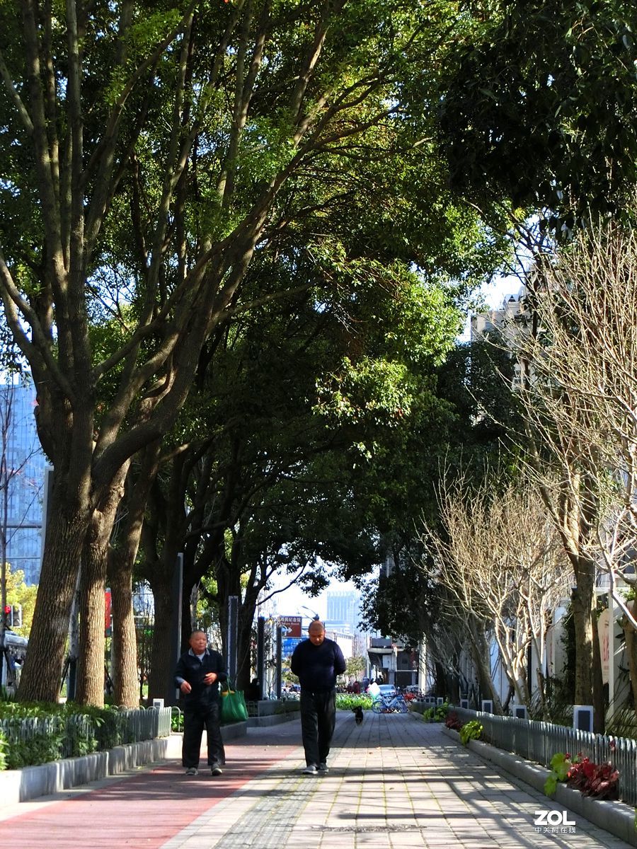 行行摄摄过过瘾 ------ 1