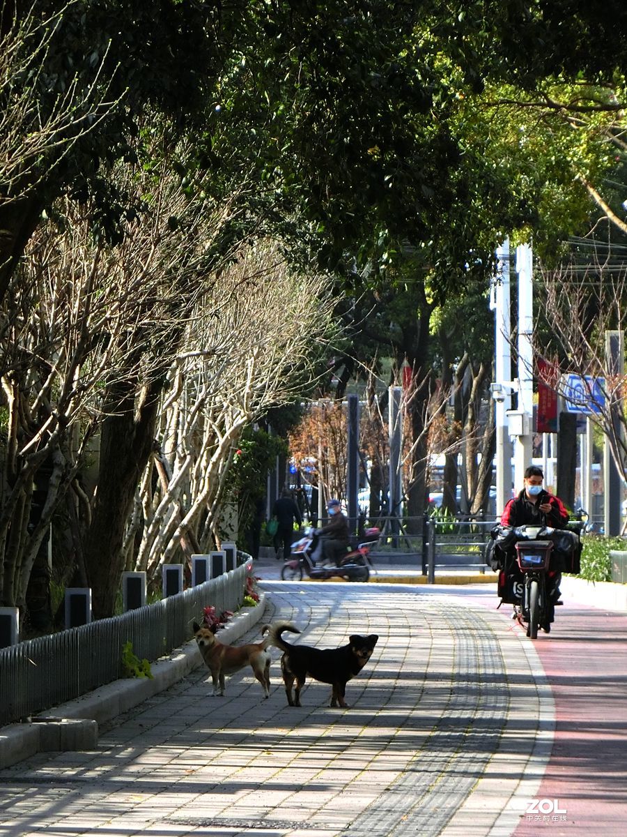 行行摄摄过过瘾 ------ 1