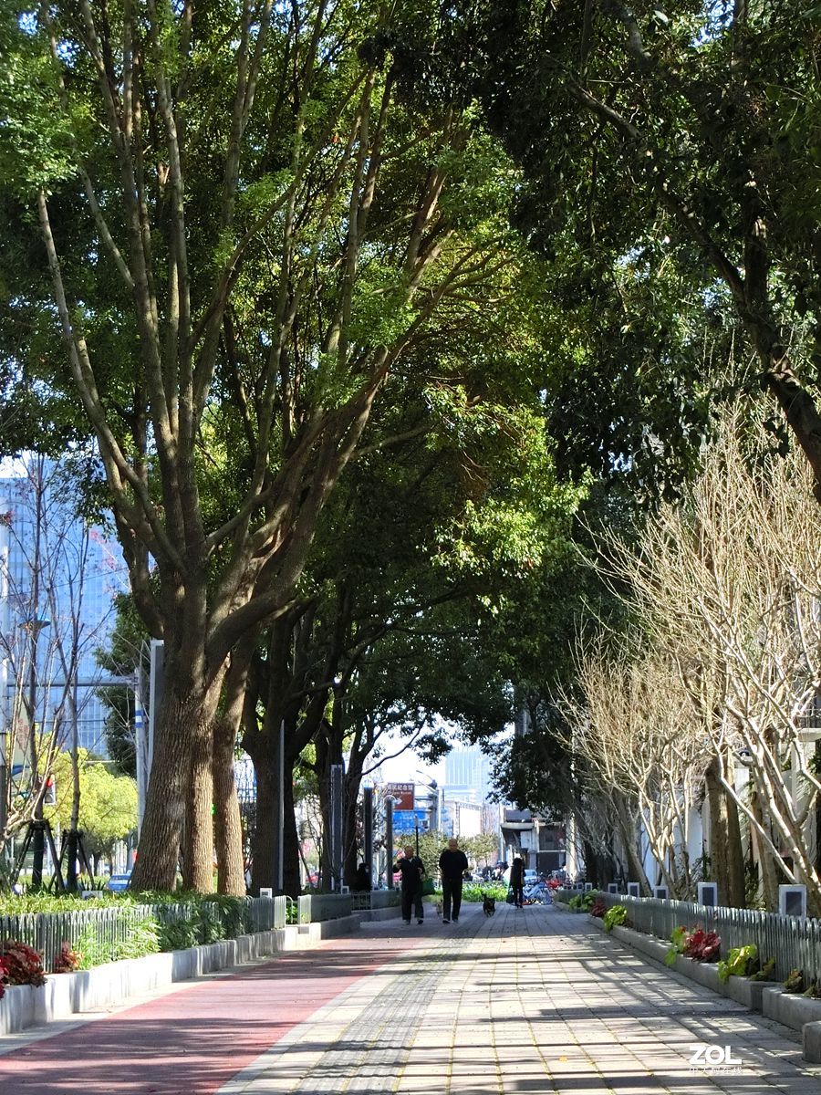 行行摄摄过过瘾 ------ 1