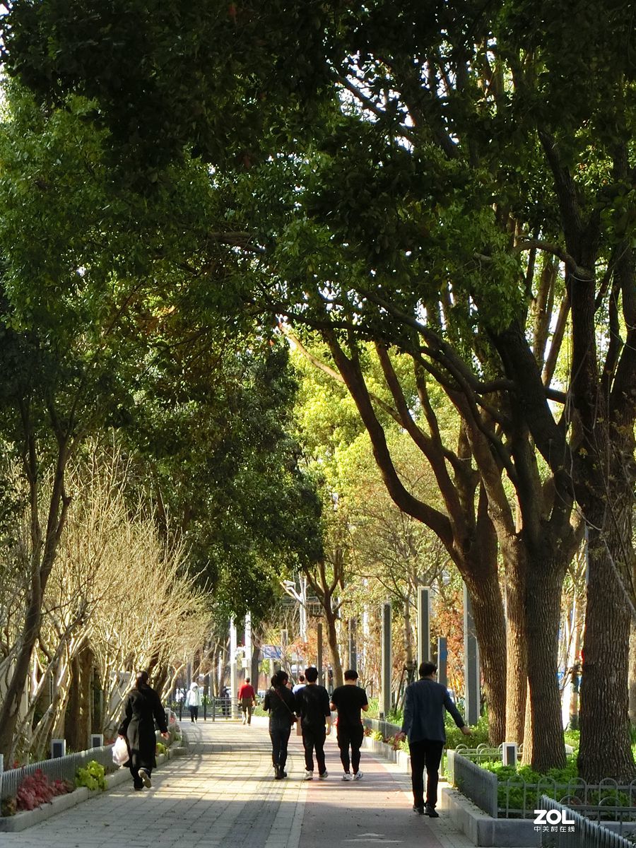 行行摄摄过过瘾 ------ 1