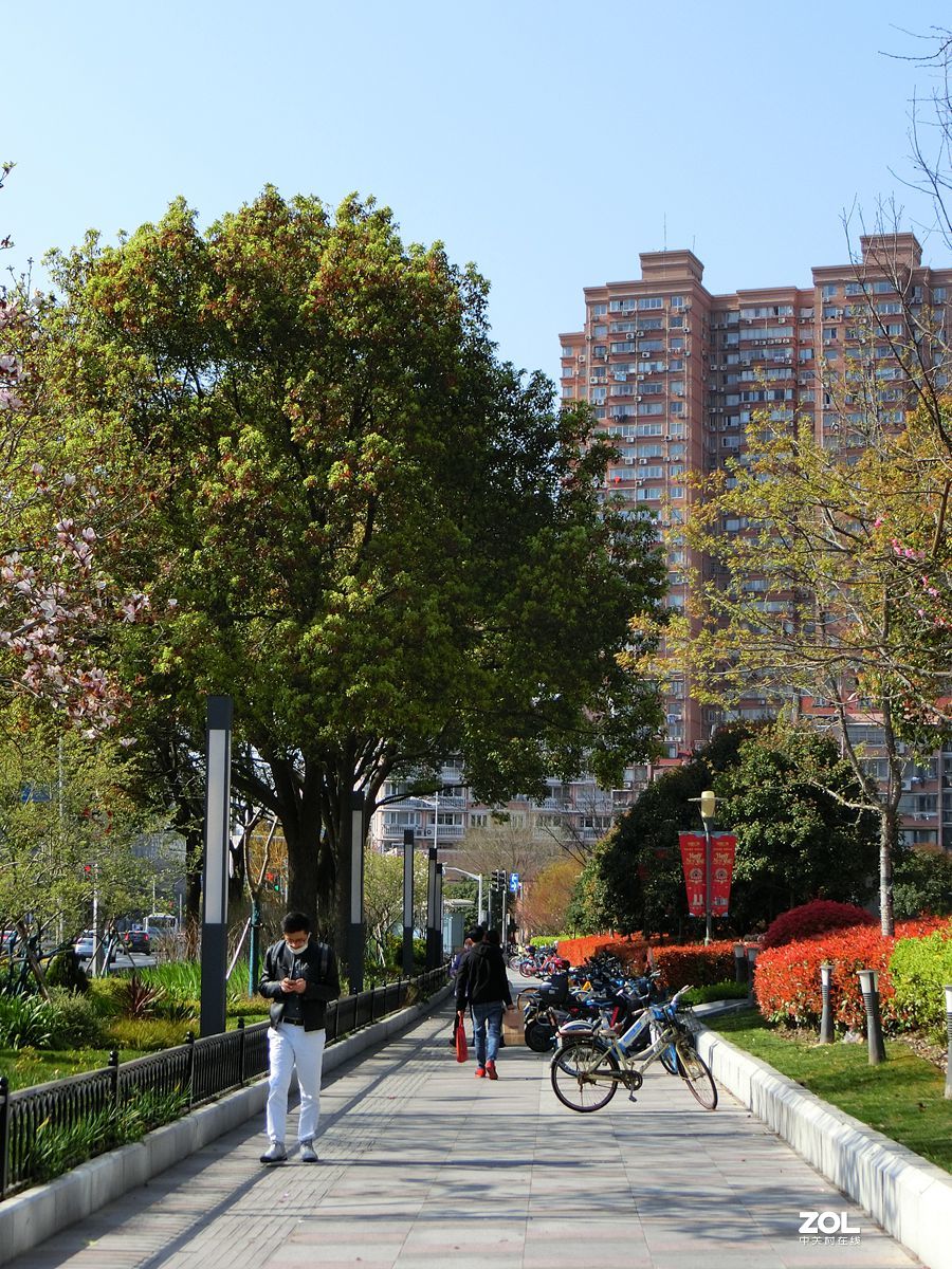 行行摄摄过过瘾 ------ 1