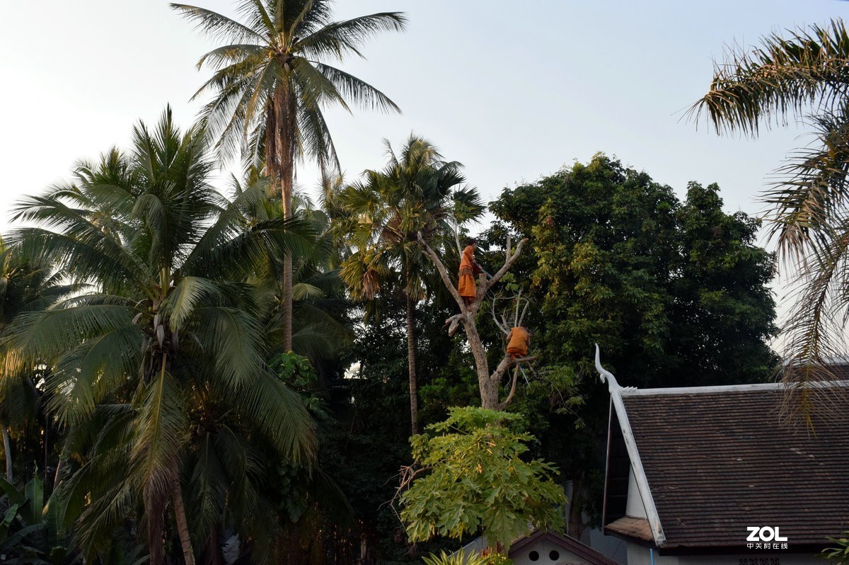 乌多姆赛 风情纪实（续）