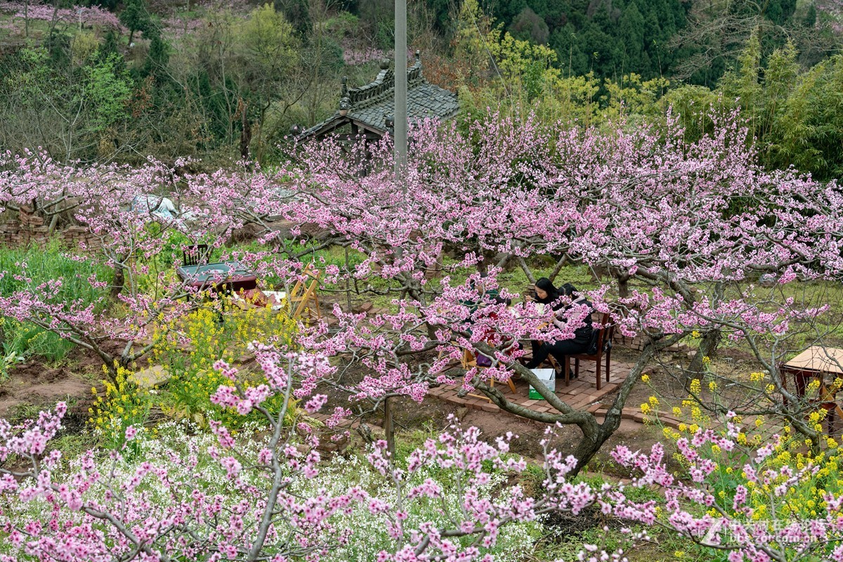 成都龍泉山桃花故里景區