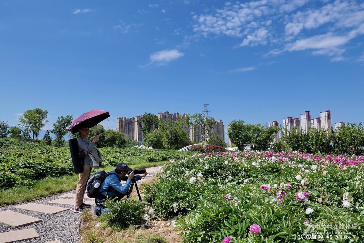 西安植物园的初夏