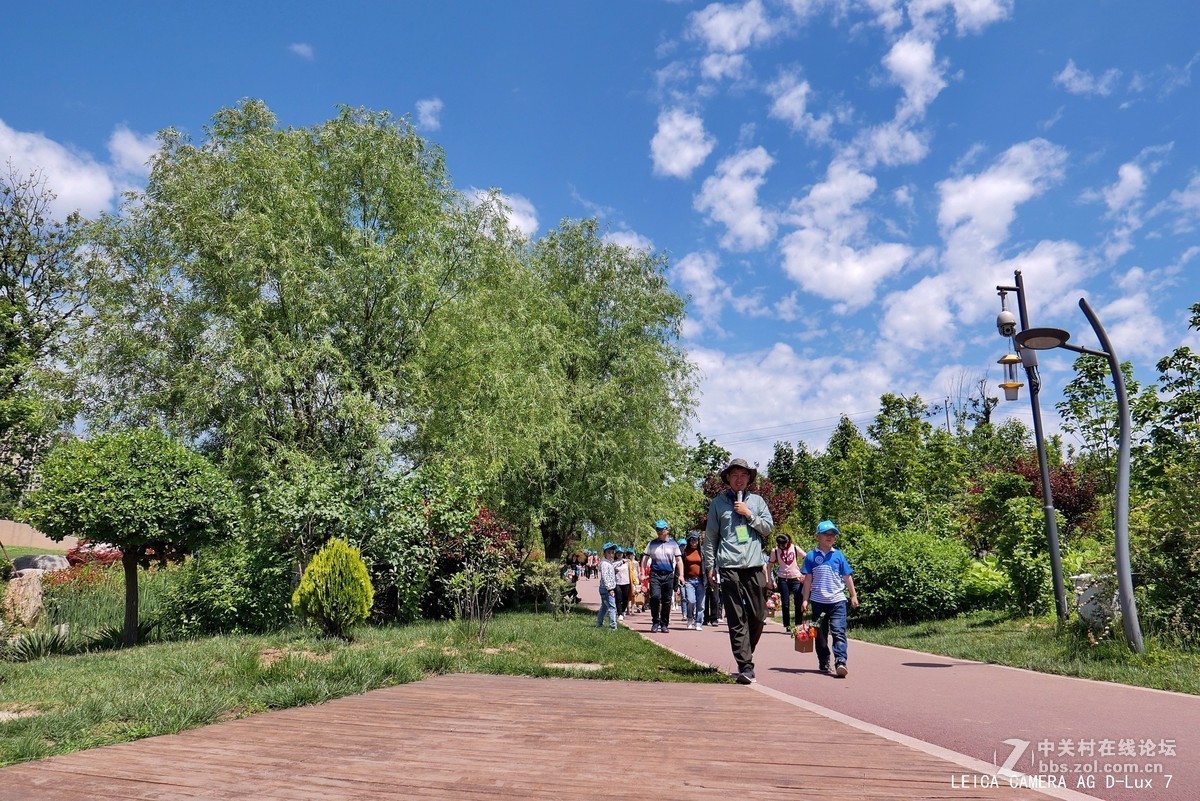 西安植物园的初夏