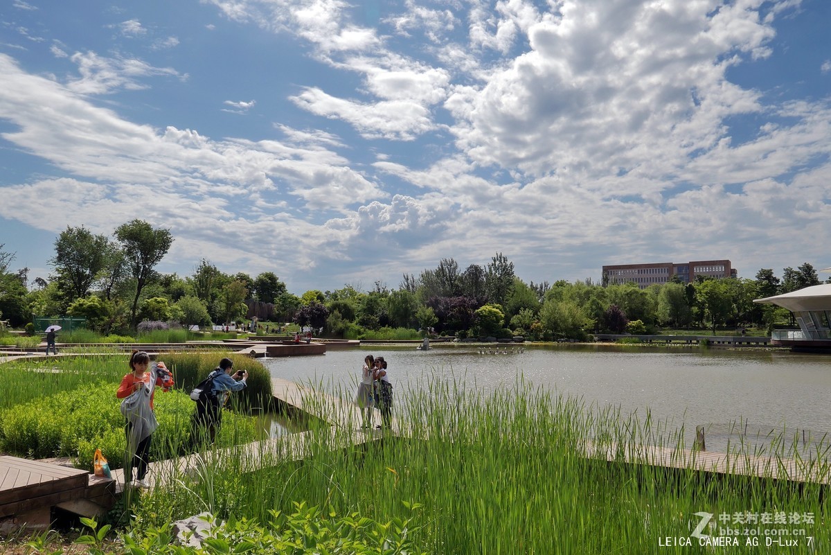 西安植物园的初夏