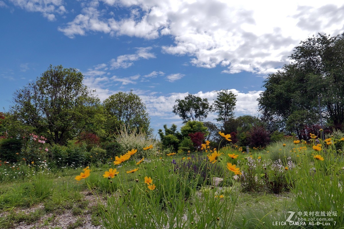 西安植物园的初夏