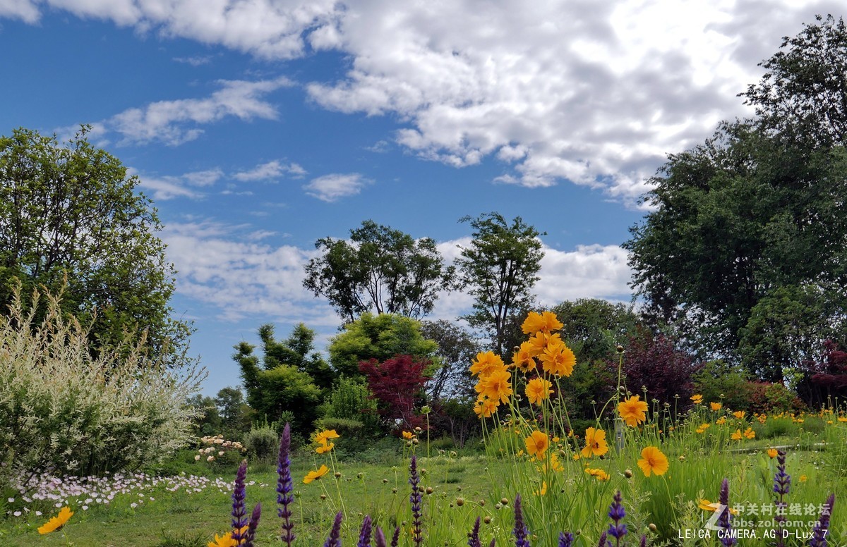 西安植物园的初夏