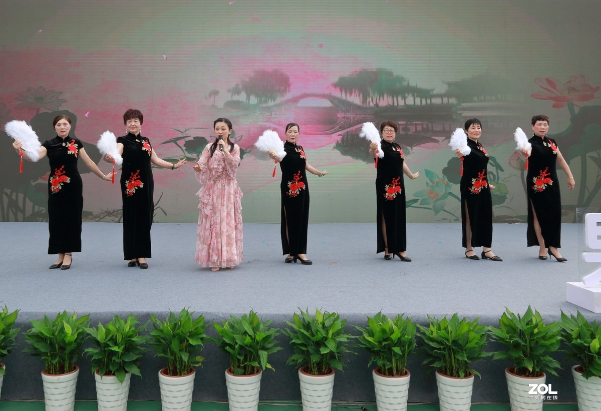 蜜梨节随拍～～