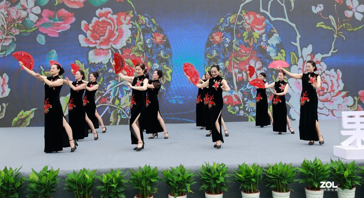 蜜梨节随拍～～