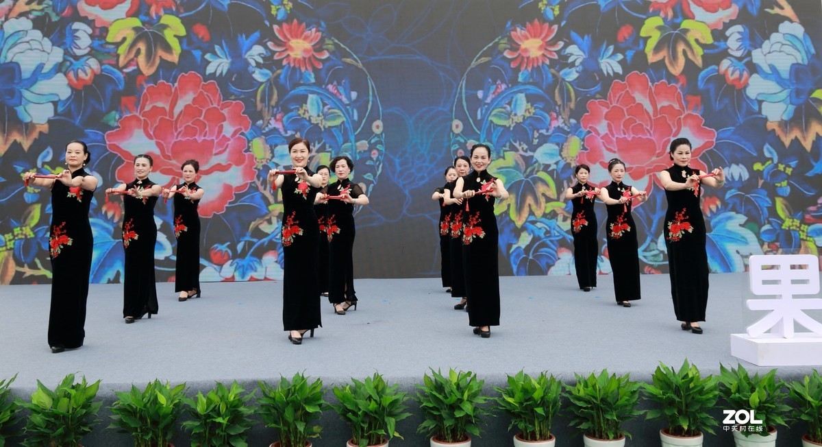 蜜梨节随拍～～