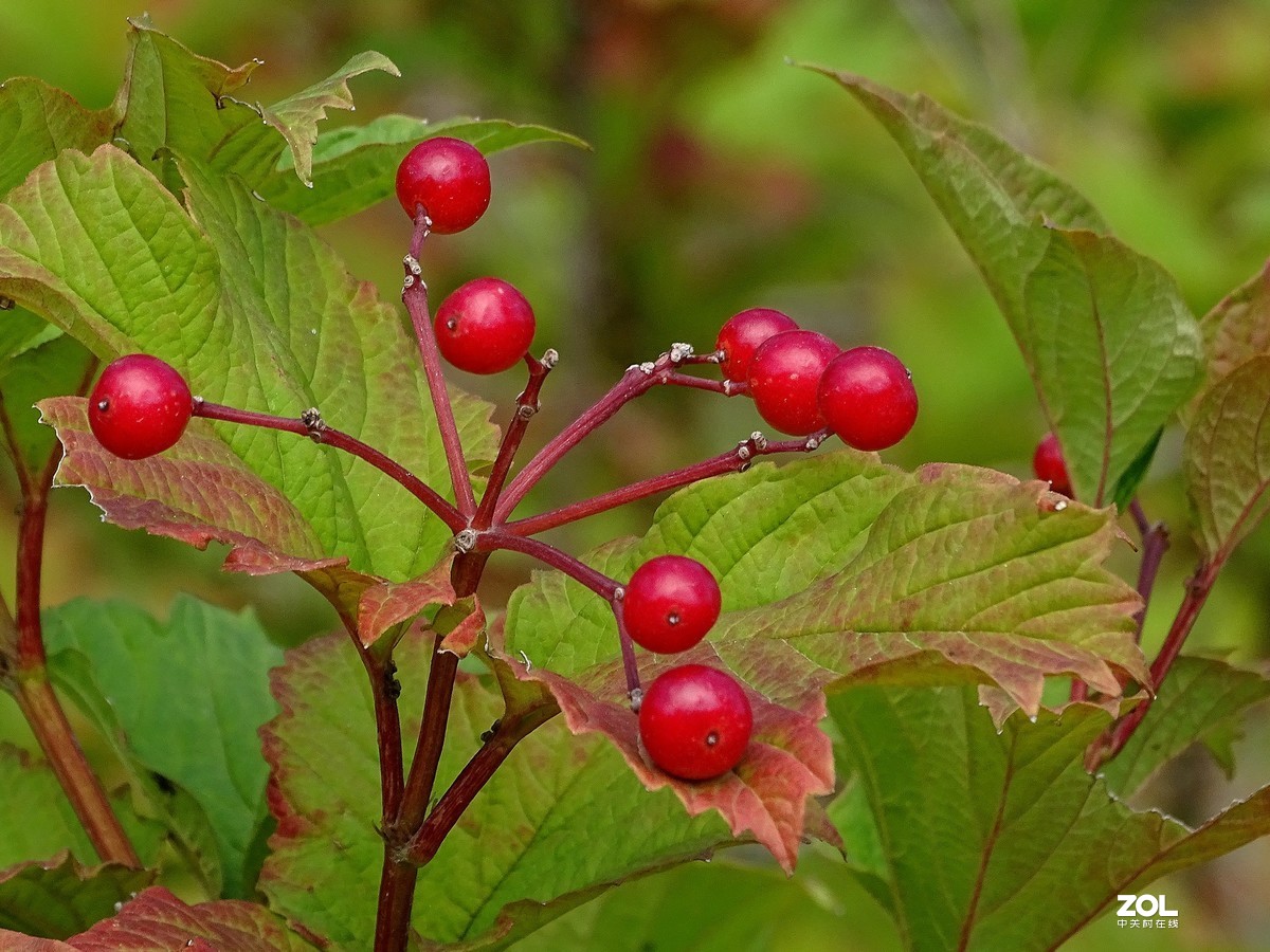 走走拍拍（2019年8月25日-5）