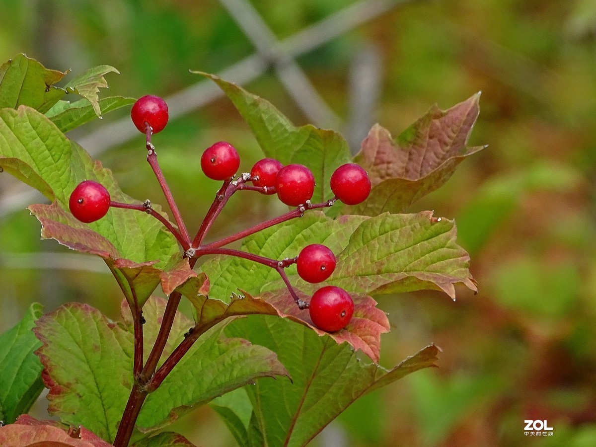 走走拍拍（2019年8月25日-5）
