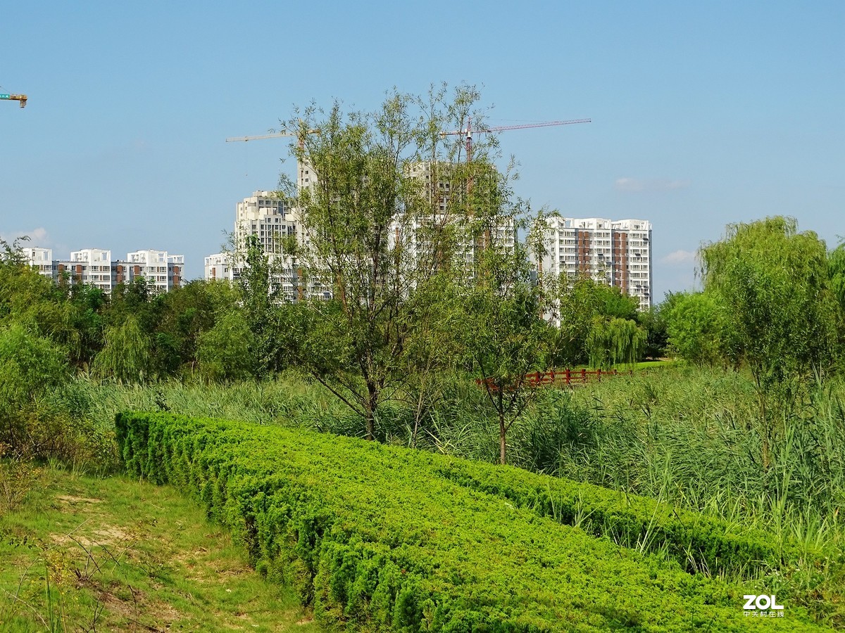 走走拍拍（2019年8月25日-5）