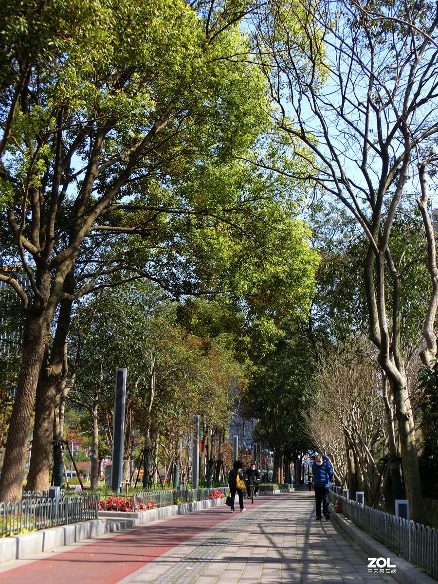 行行摄摄过过瘾 ------ 1