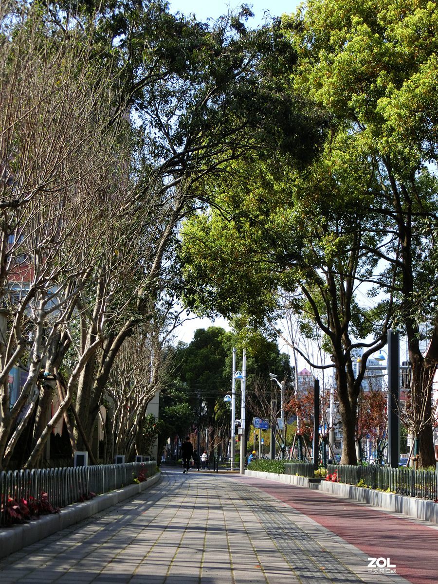 行行摄摄过过瘾 ------ 1