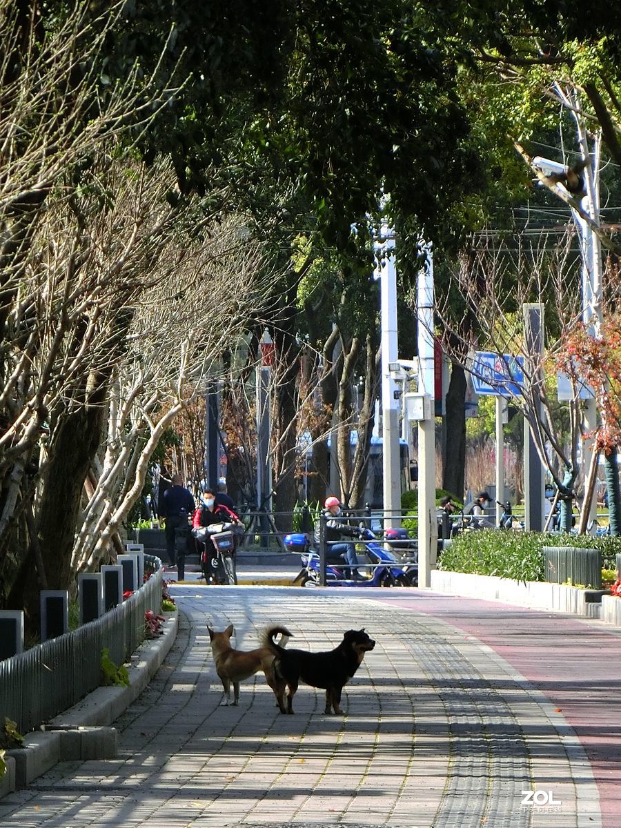 行行摄摄过过瘾 ------ 1