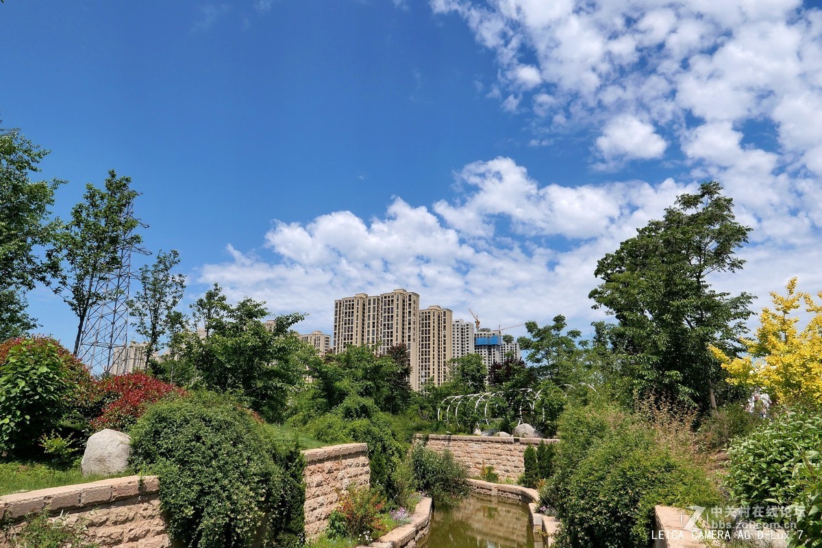 西安植物园的初夏