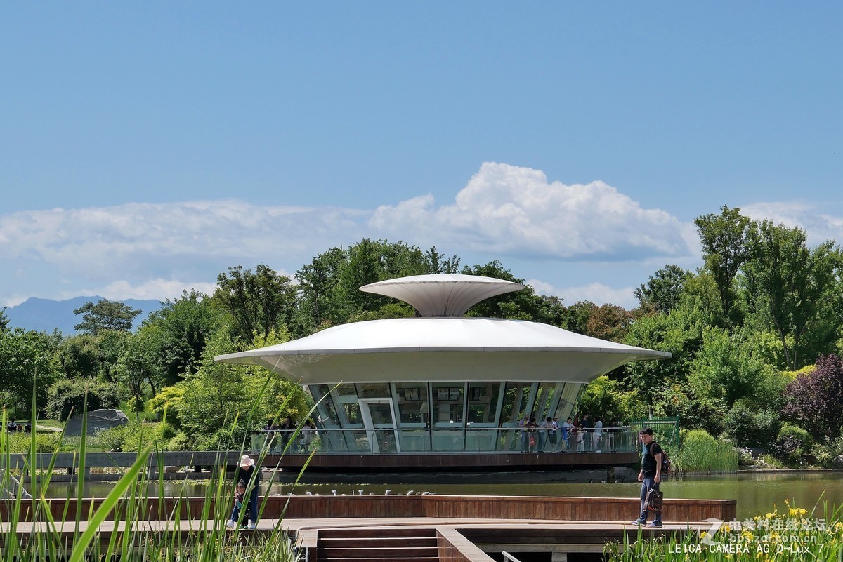 西安植物园的初夏