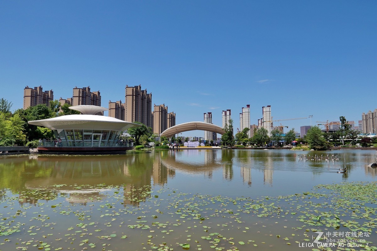 西安植物园的初夏