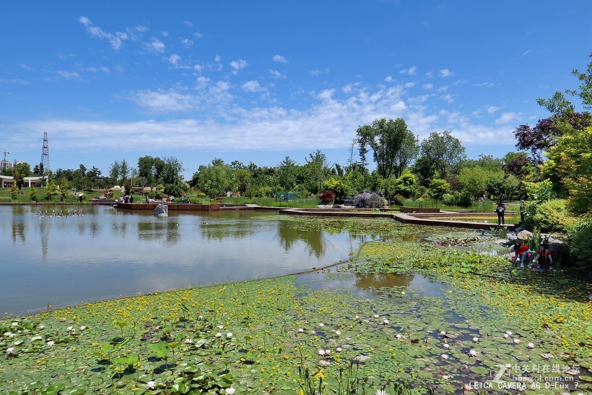 西安植物园的初夏