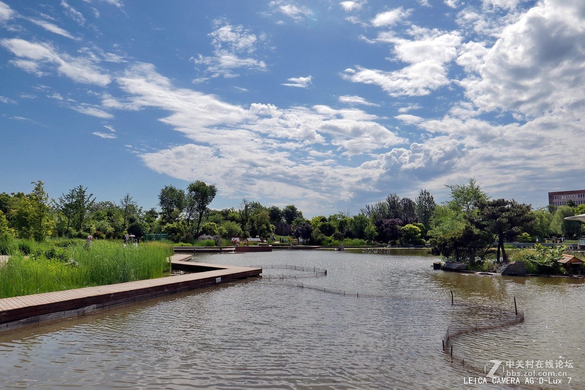 西安植物园的初夏
