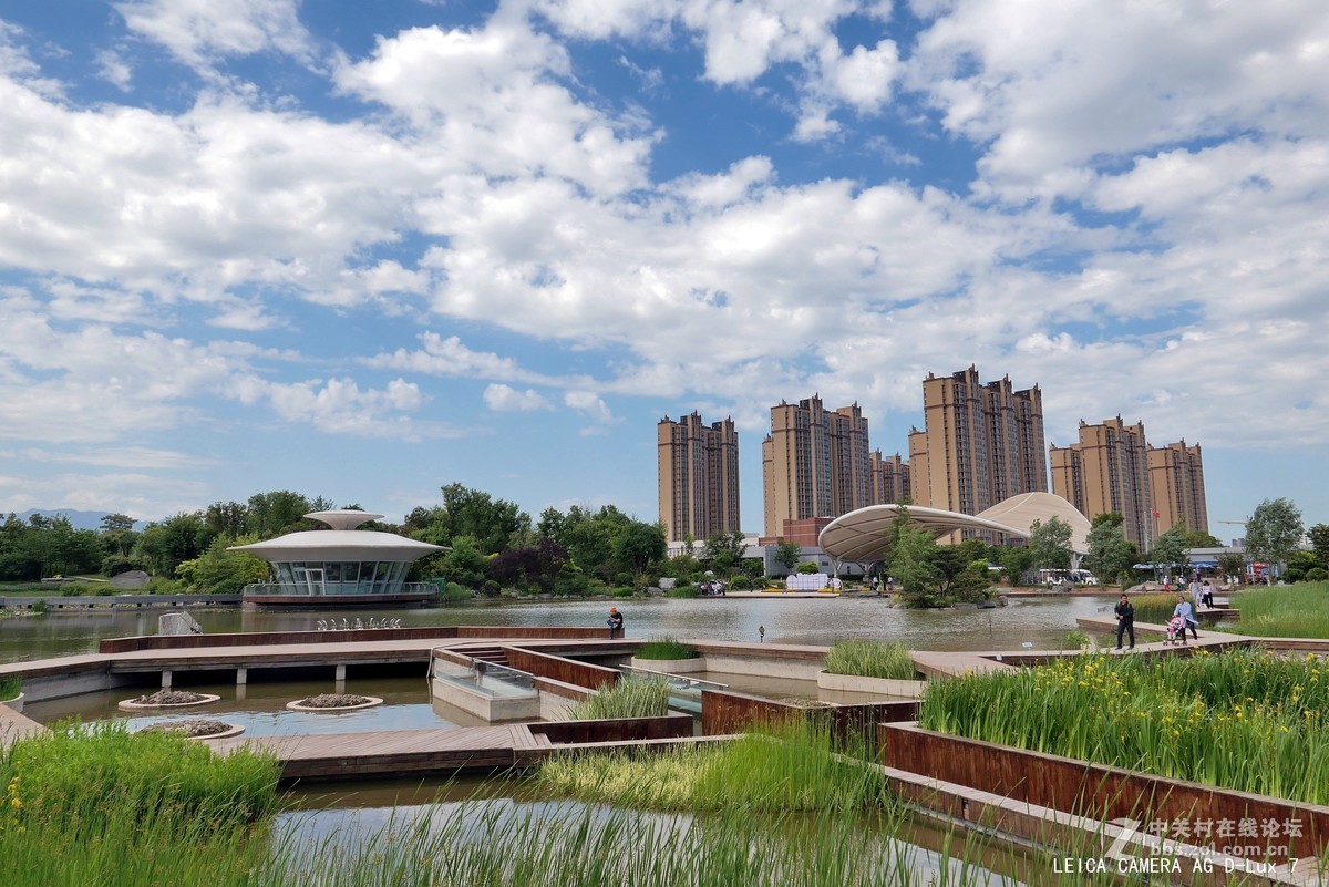 西安植物园的初夏