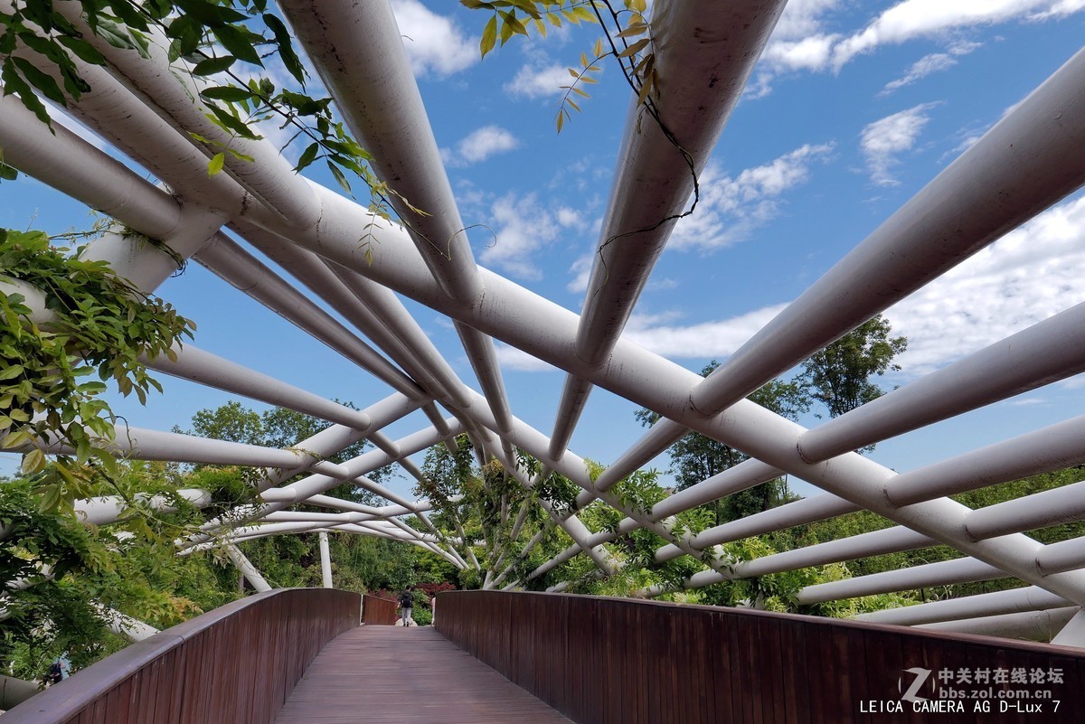 西安植物园的初夏