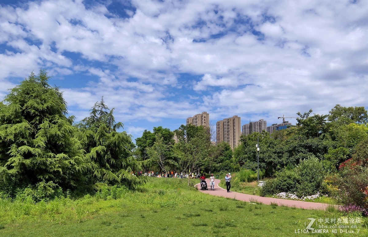 西安植物园的初夏