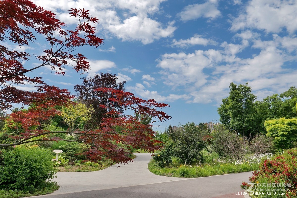 西安植物园的初夏