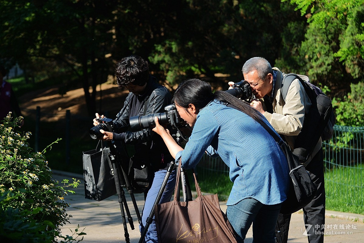 花影随拍—祝7200星空(中国)红火！