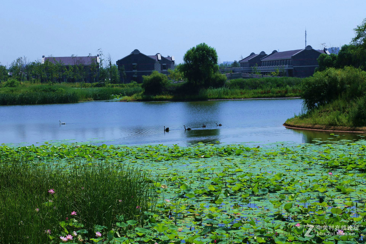 長春北湖溼地公園採風作業