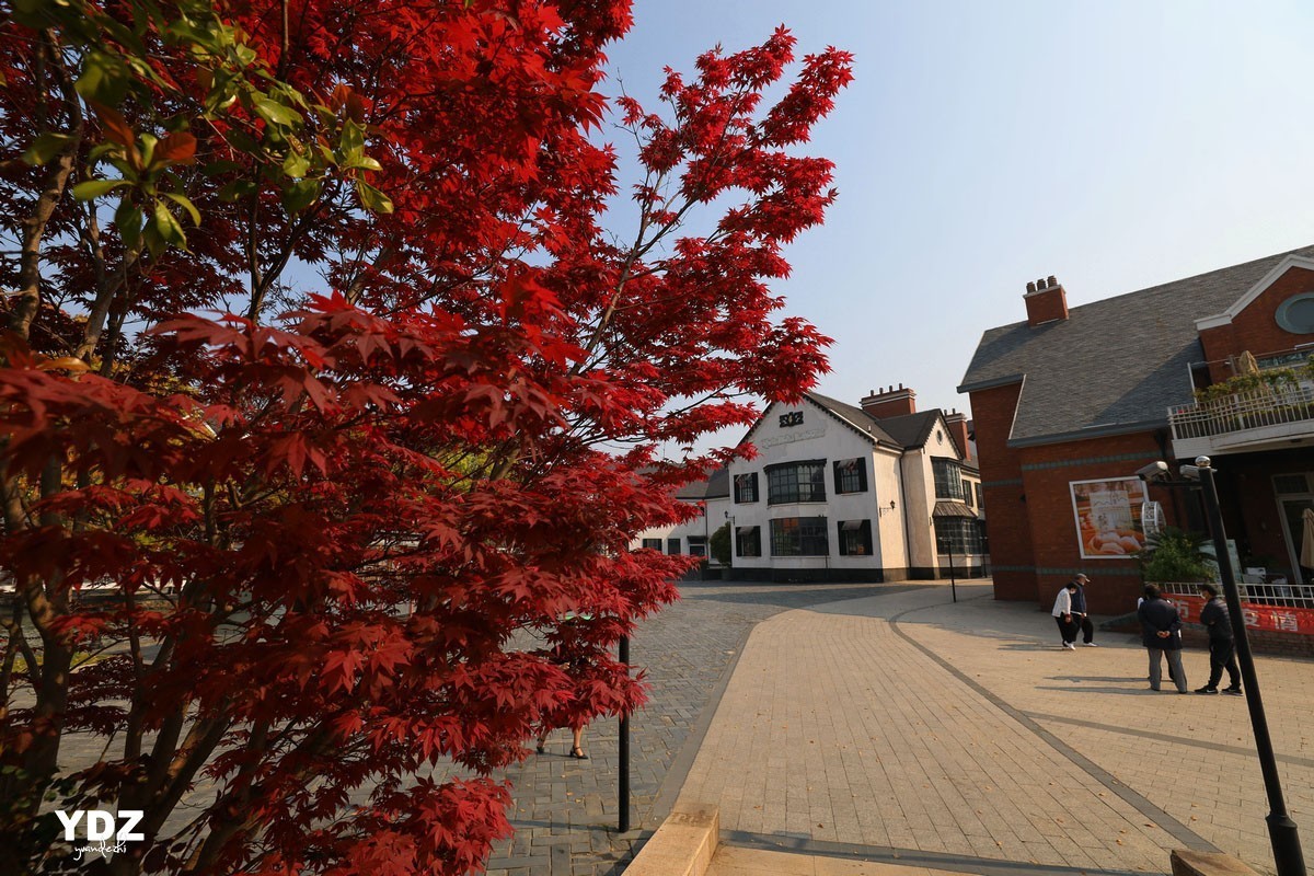 上海泰晤士小镇6