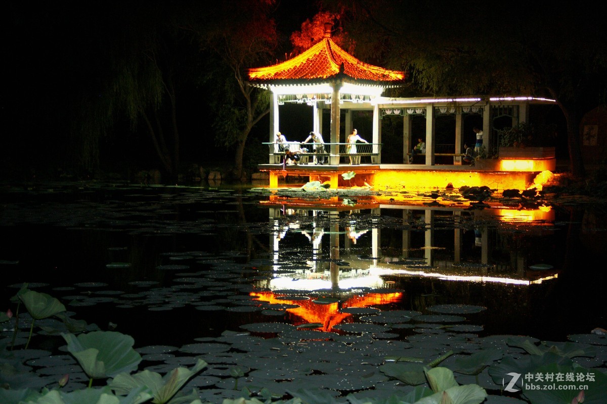 夏日湖面夜色片-----2015.8日沈阳北陵公园 夜景 练习作业 分享