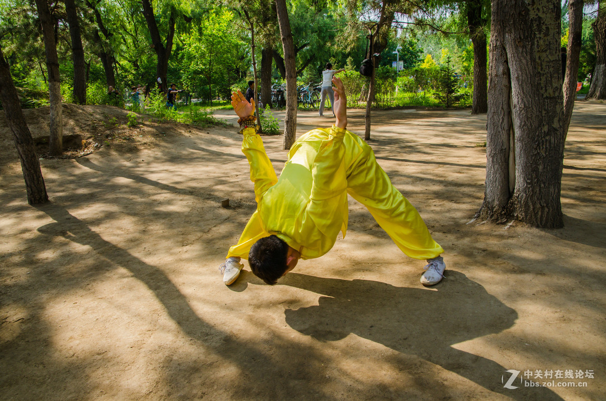 男拳刚柔兼备的拳术