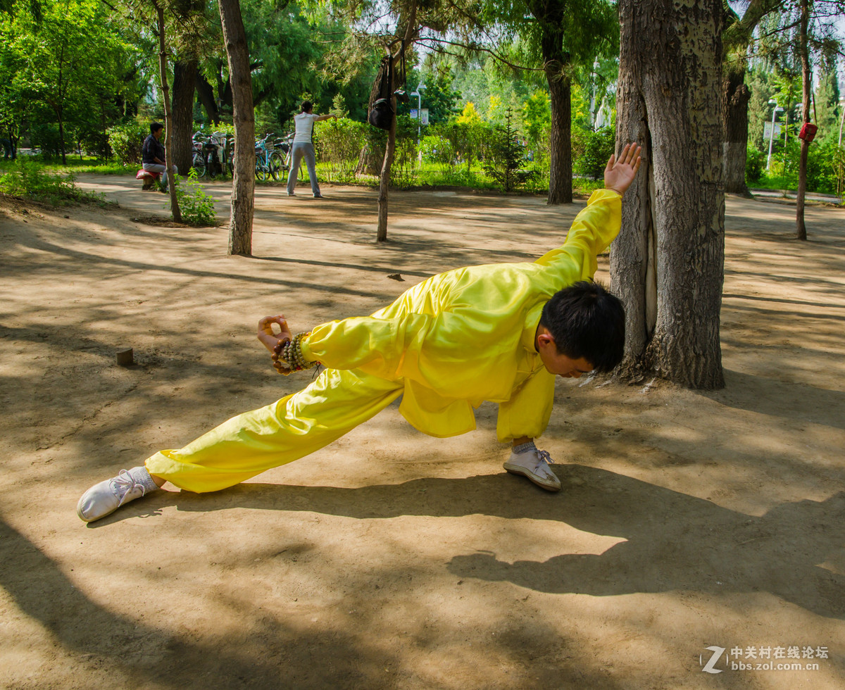 男拳刚柔兼备的拳术