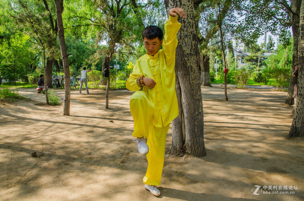 男拳:刚柔兼备的拳术-中关村在线摄影论坛