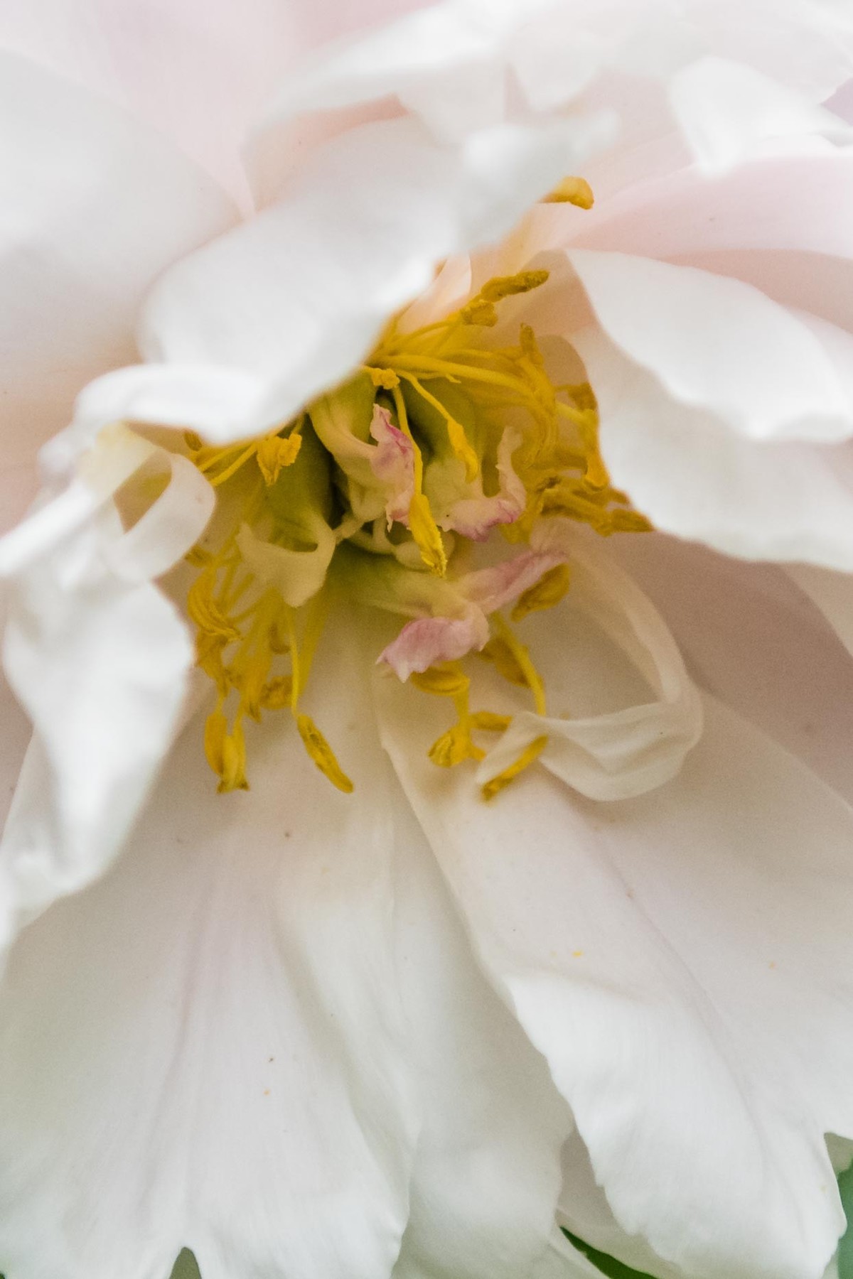 学习利用cameraraw处理