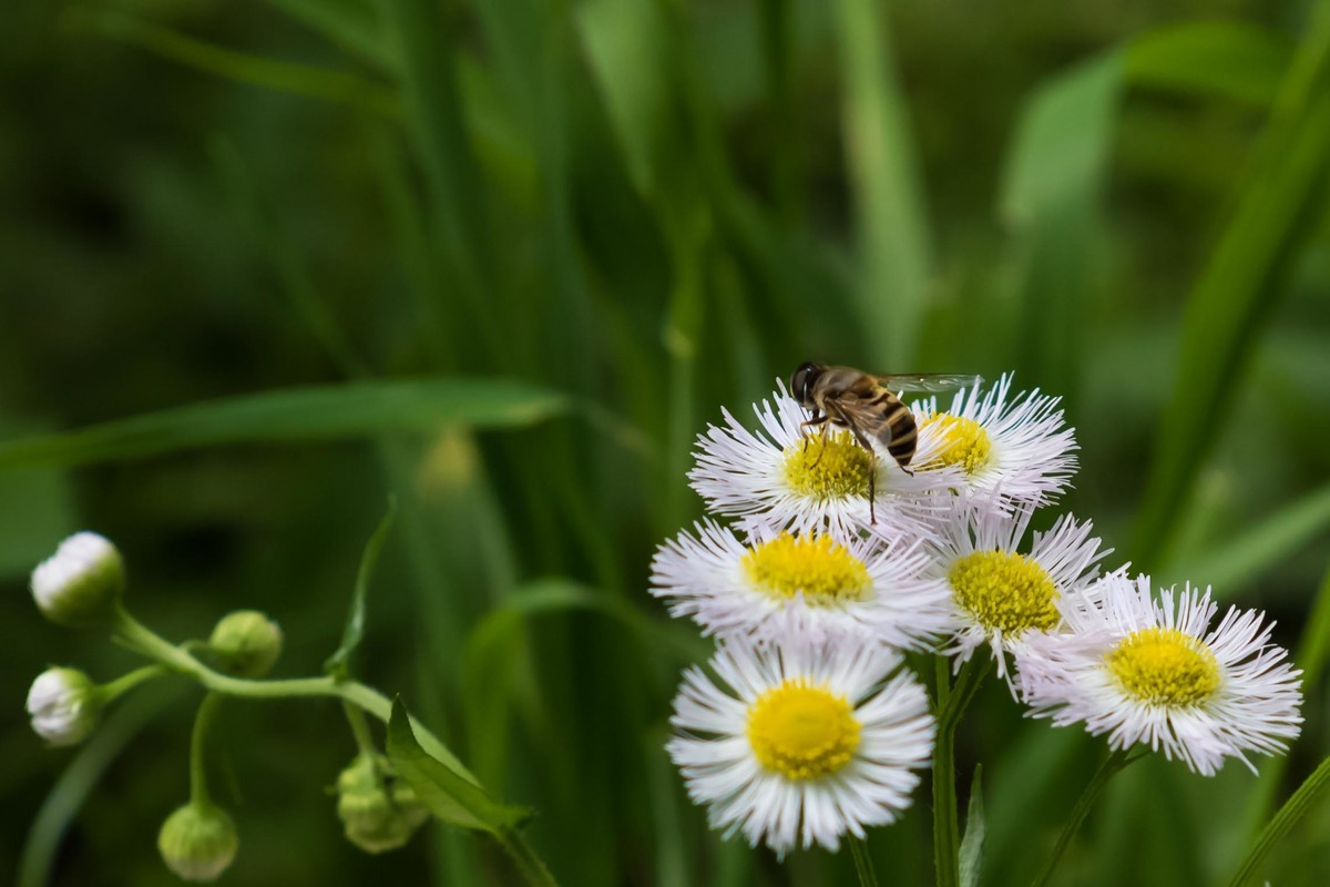 学习利用cameraraw处理