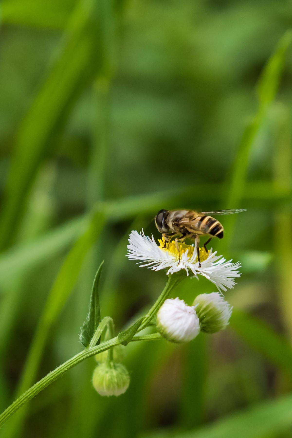 学习利用cameraraw处理