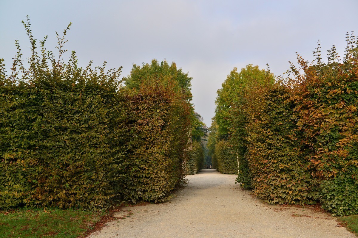 奥地利.维也纳.美泉宫（4）