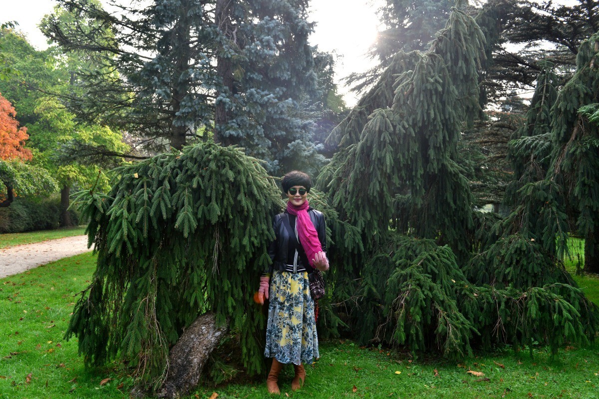 奥地利.维也纳.美泉宫（4）