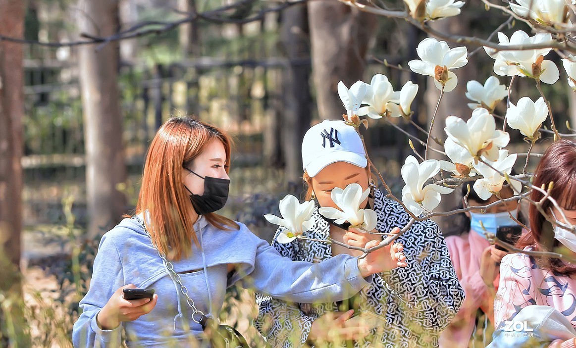 守株待兔抓拍正当时《兰花梅花与美女》公园都开放了花也开了赶紧去拍啊机不可失！哈哈