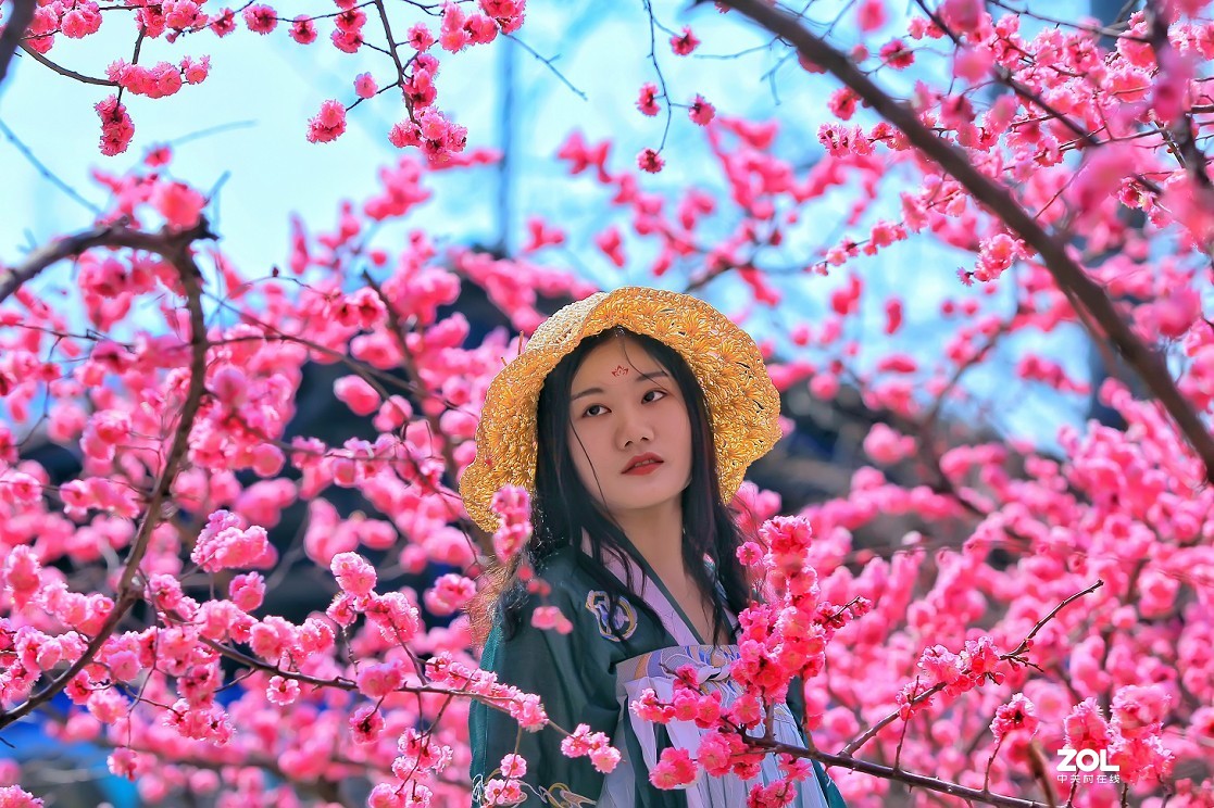 守株待兔抓拍正当时《兰花梅花与美女》公园都开放了花也开了赶紧去拍啊机不可失！哈哈