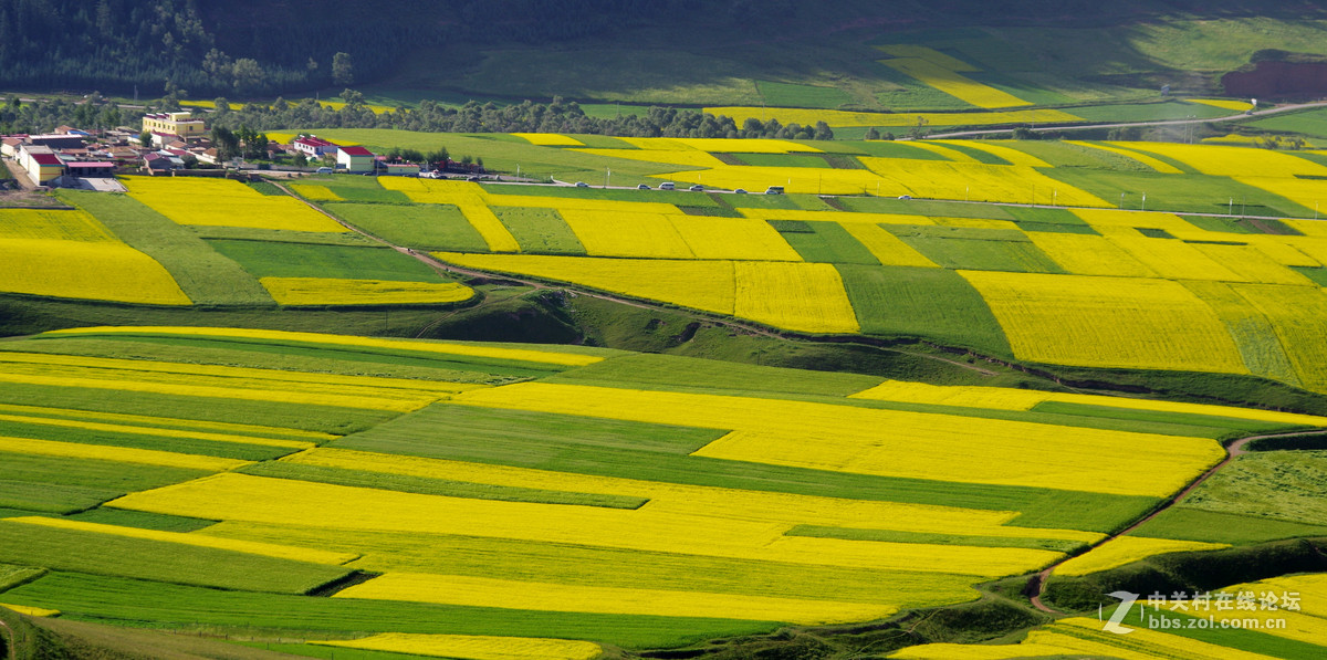 天境祁连卓尔山（一）