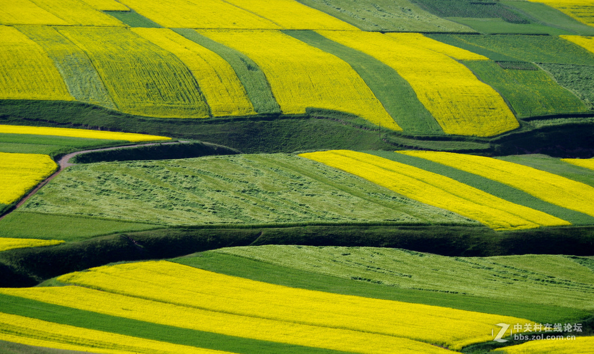 天境祁连卓尔山（一）