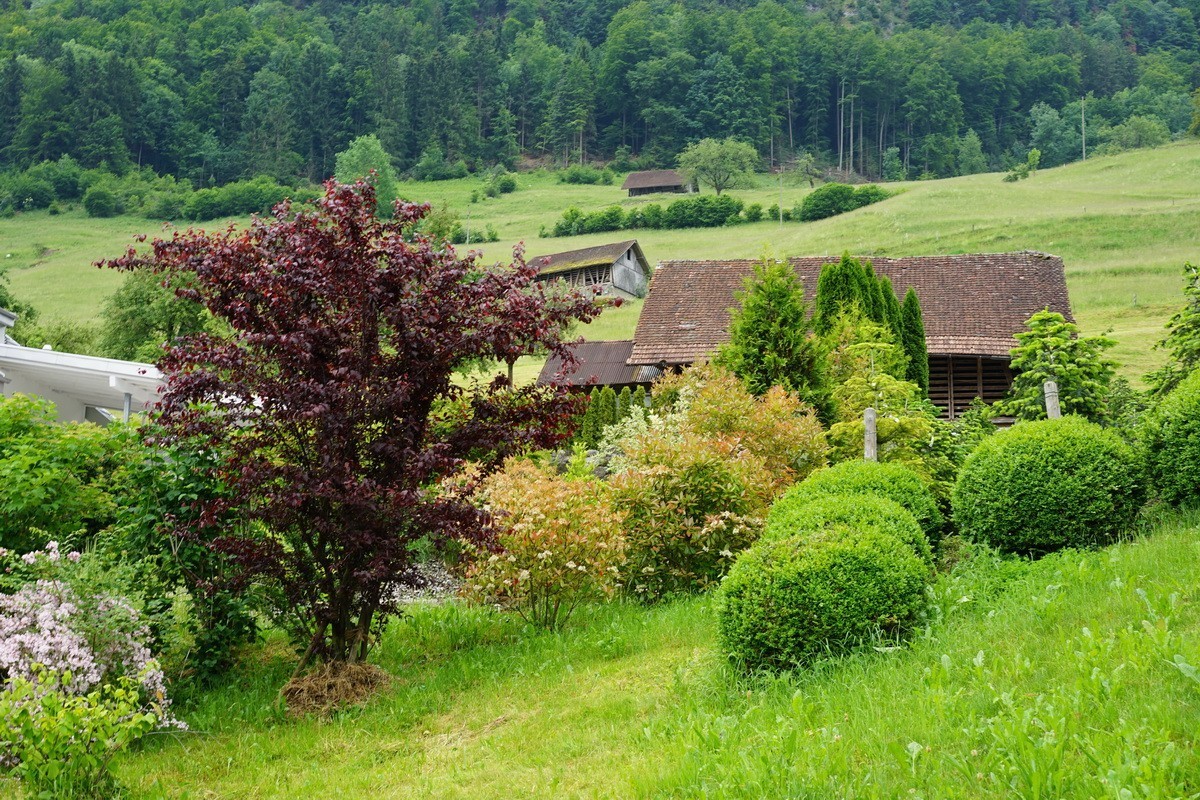 2019-06-08 Luzien比尔根湖边的老爷车